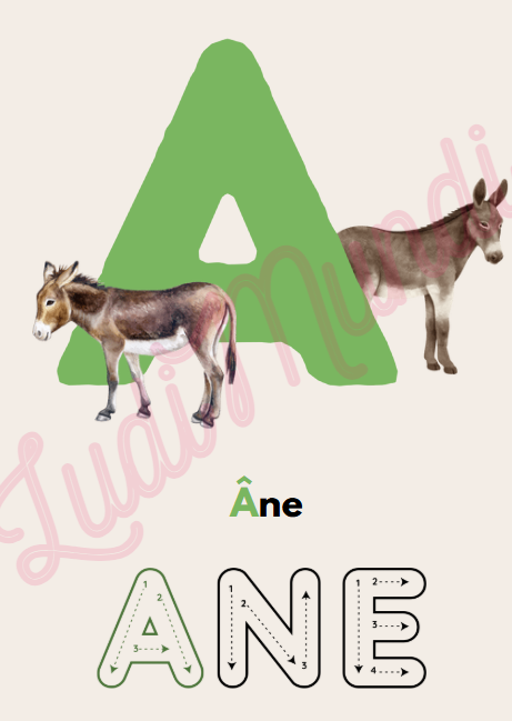 Premier Abécédaire évolutif : Mes premiers pas vers l'alphabet !