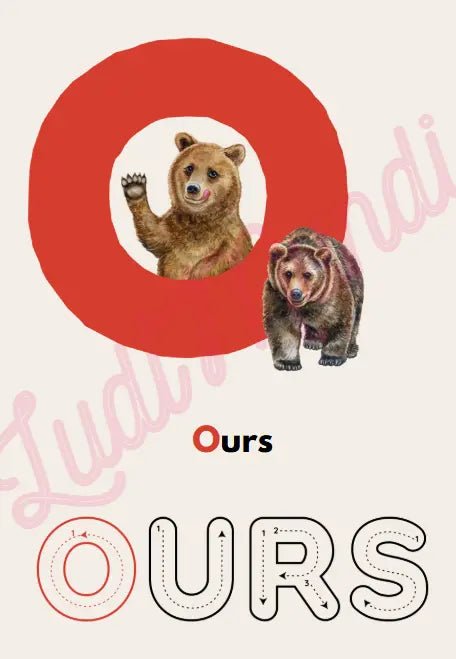 Premier Abécédaire évolutif : Mes premiers pas vers l'alphabet ! - LudiMundi