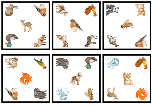 Jeu éducatif animaux cartes à associer - apprendre en s'amusant avec un jeu de rapidité - LudiMundi